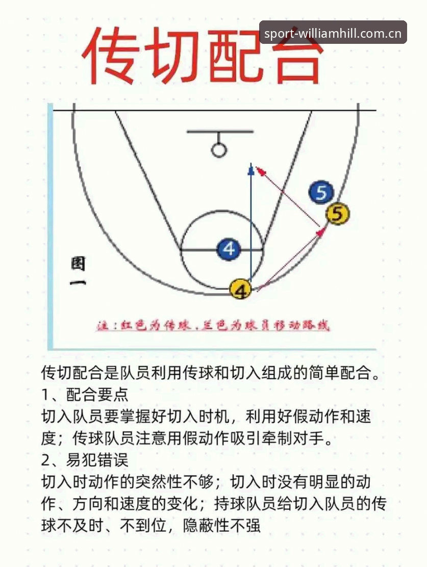 威廉希尔体育登录操作详解及实战技巧分享